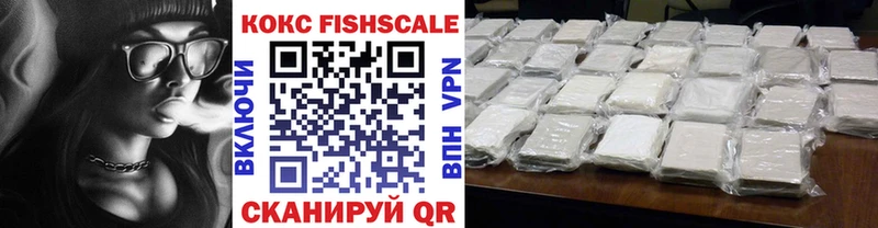 Cocaine FishScale  наркотики  Камышлов 