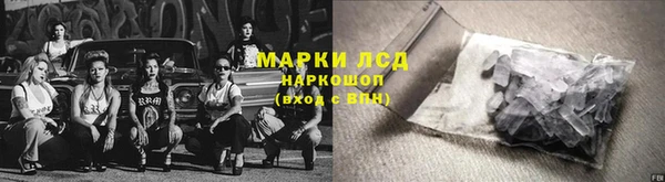 крисы Бронницы