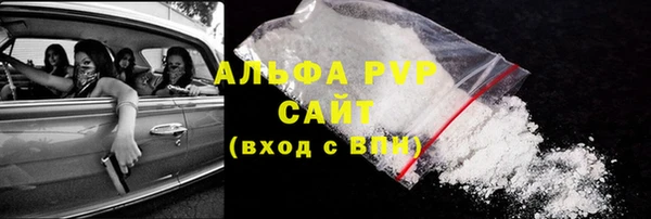 PSILOCYBIN Верхний Тагил