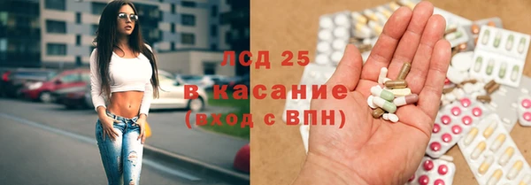 PSILOCYBIN Верхний Тагил