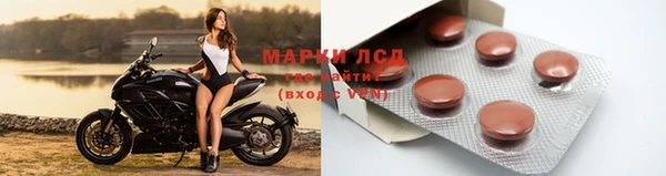 PSILOCYBIN Верхний Тагил