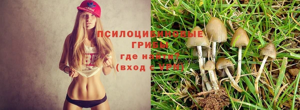 молекула духа Верхнеуральск